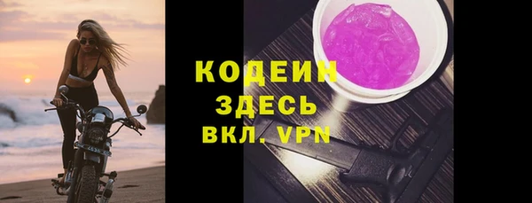 шишки Пестово