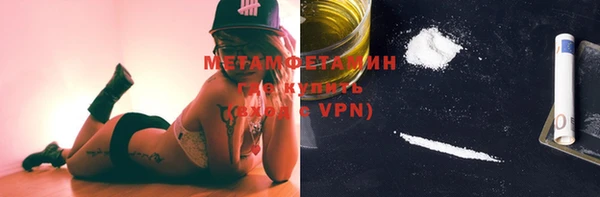 шишки Пестово