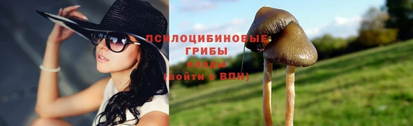 спиды Алексин