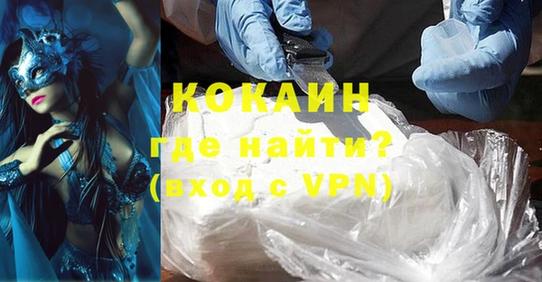 шишки Пестово