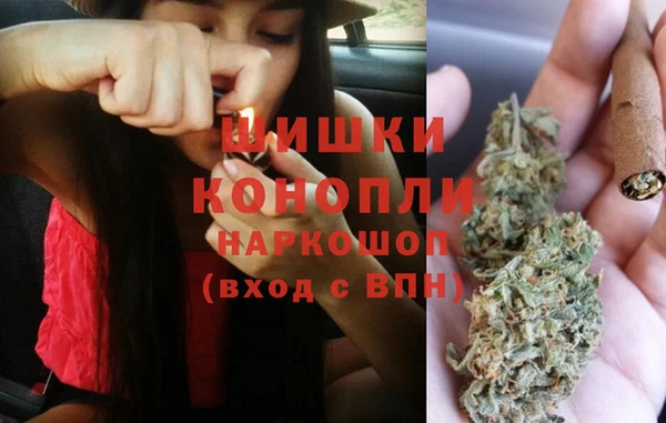 шишки Пестово
